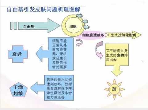 原来是这几样 让我变得有